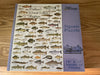 Puzzles
