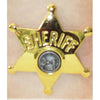 Sheriff's Badge